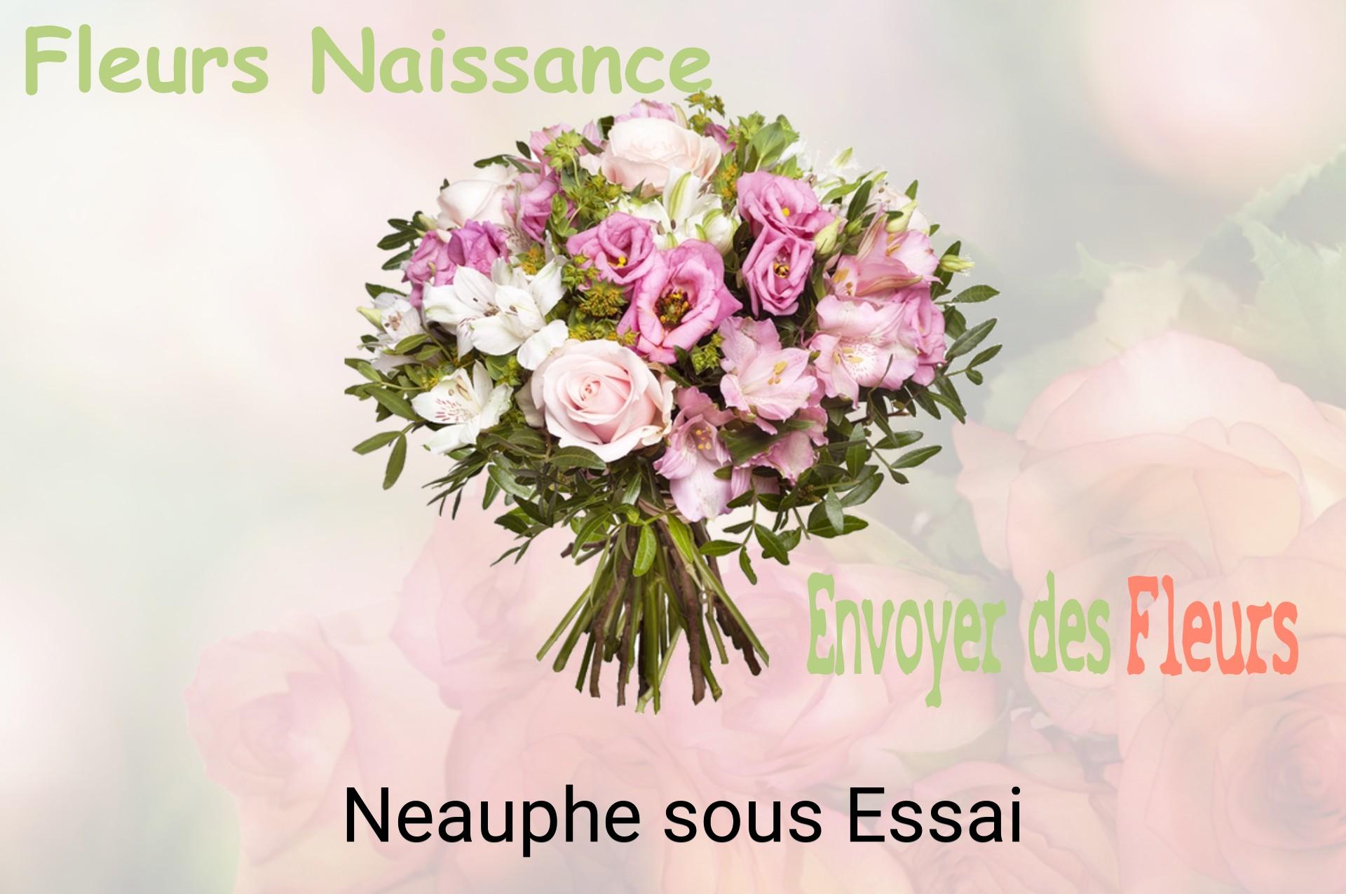 Bouquet de fleurs de naissance livré à Neauphe-sous-Essai